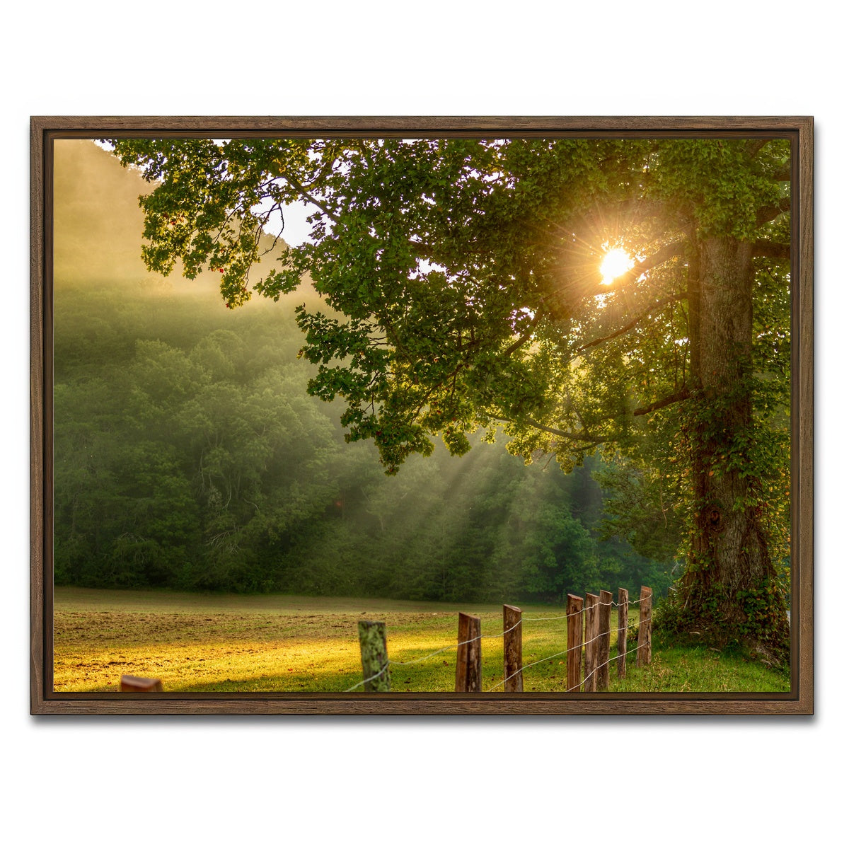 AUTO-MOCKUP WHITE | Cades Cove | 1 Piece | Walnut Framed Canvas | group=4x3