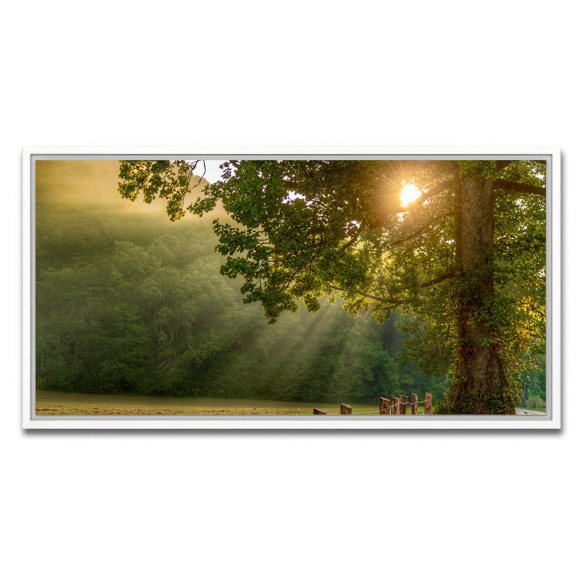 AUTO-MOCKUP WHITE | Cades Cove | 1 Piece | White Framed Canvas | group=2x1