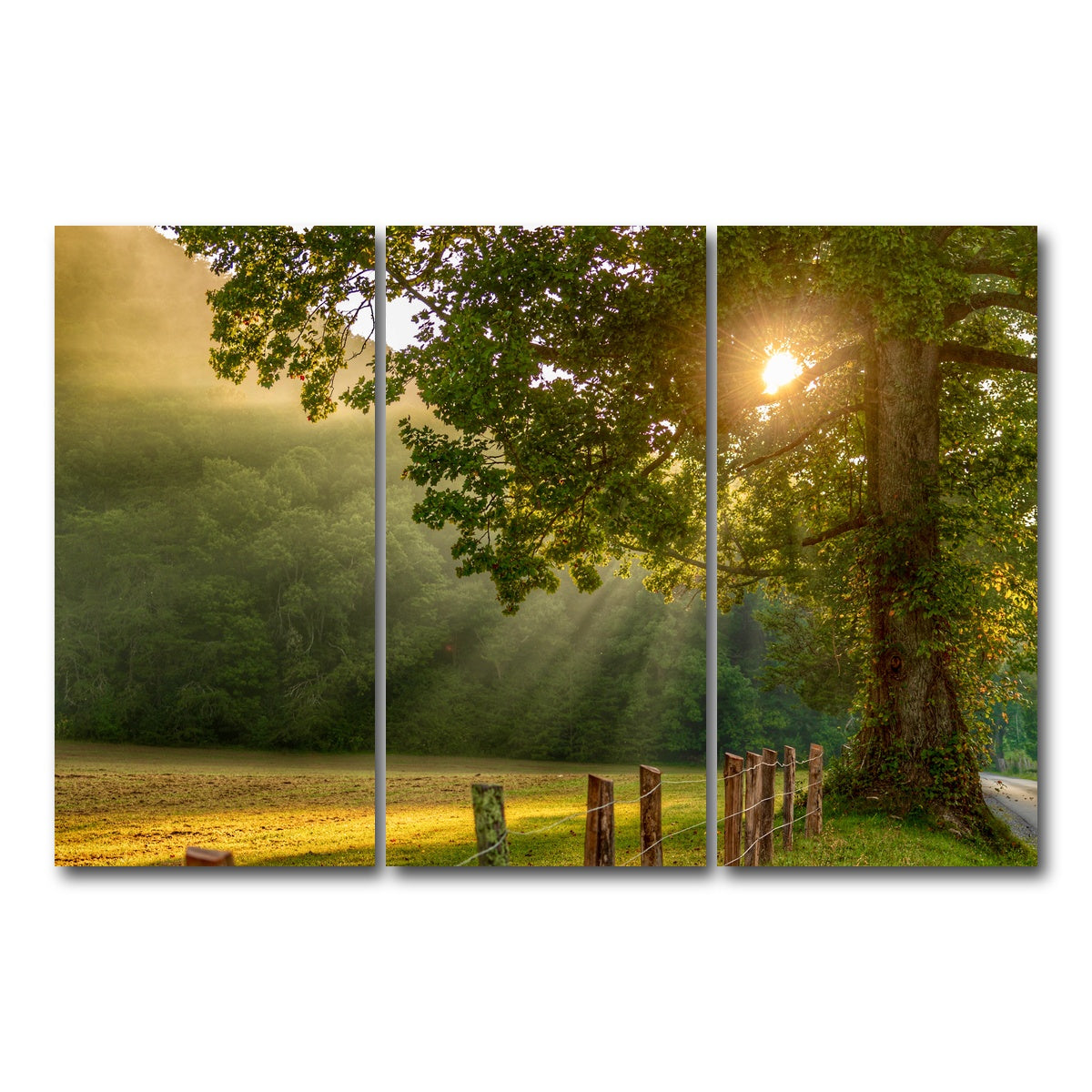 AUTO-MOCKUP WHITE | Cades Cove | 3 Piece | Gallery Wrap Canvas | group=12x24