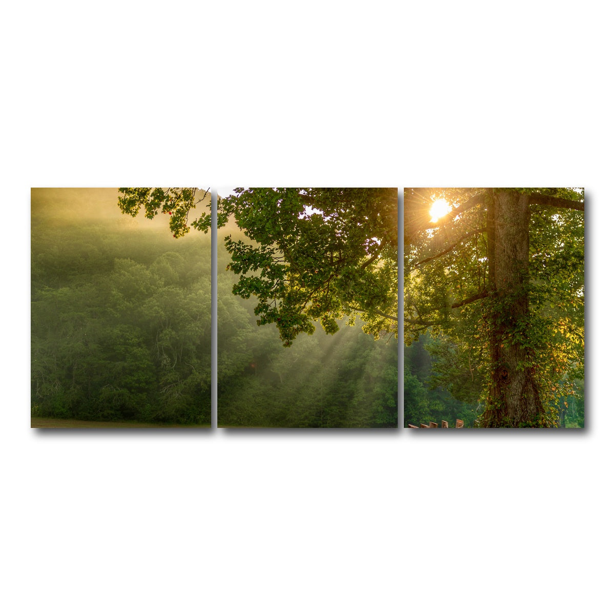 AUTO-MOCKUP WHITE | Cades Cove | 3 Piece | Gallery Wrap Canvas | group=18x24