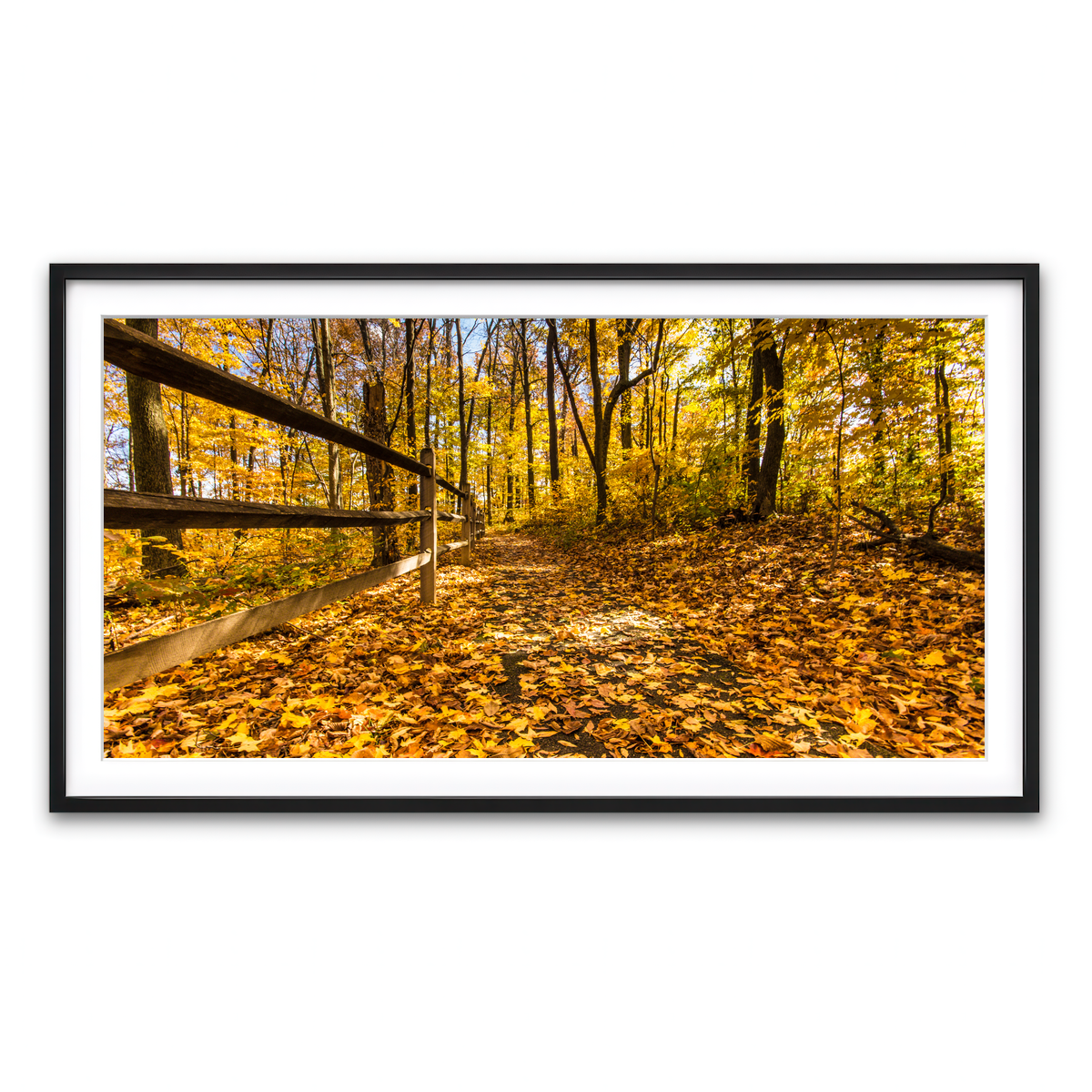 Framed Print 2x1 Black