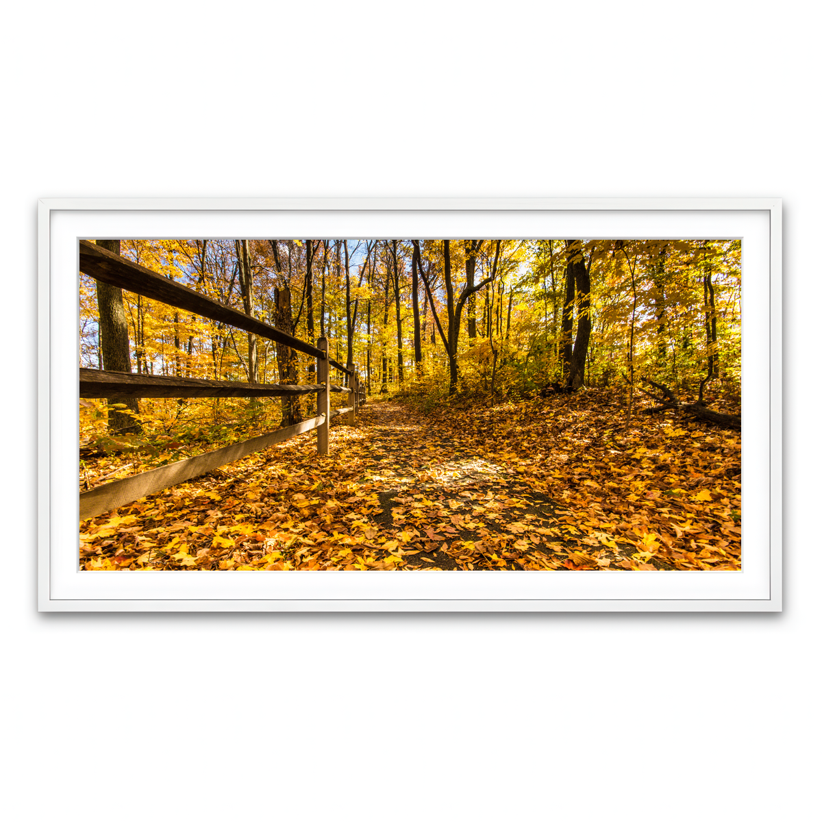 Framed Print 2x1 White