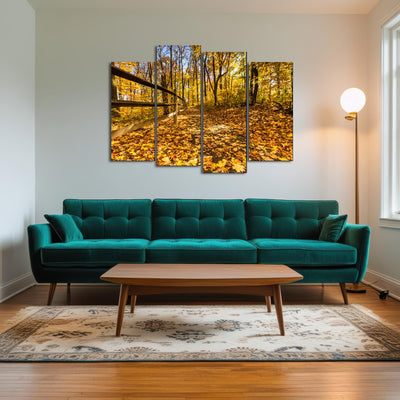 AUTO-MOCKUP ROOM | Caesar Creek State Park Fall Foliage