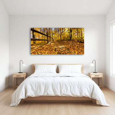 AUTO-MOCKUP ROOM | Caesar Creek State Park Fall Foliage