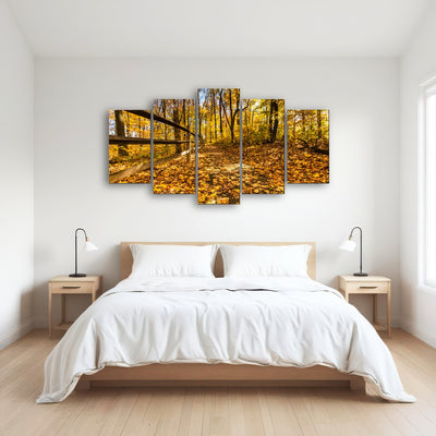 AUTO-MOCKUP ROOM | Caesar Creek State Park Fall Foliage