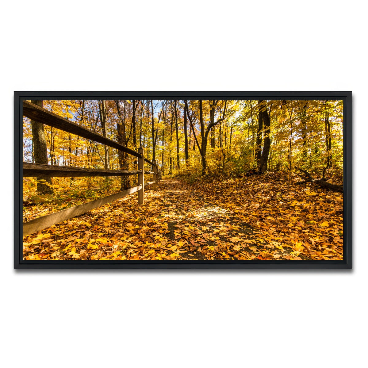 AUTO-MOCKUP WHITE | Caesar Creek State Park Fall Foliage | 1 Piece | Black Framed Canvas | group=2x1