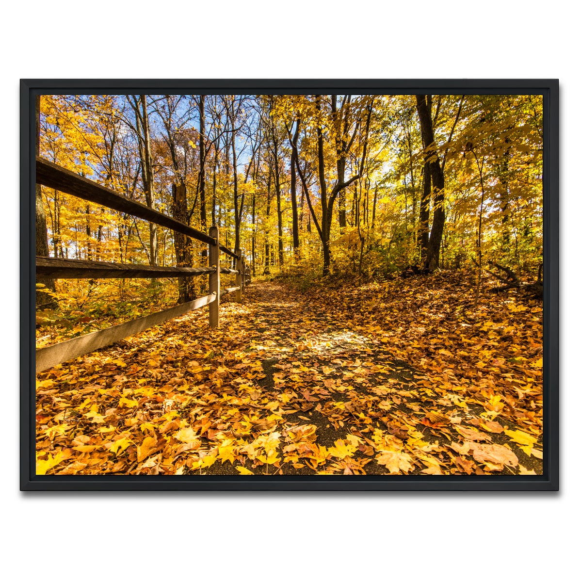 AUTO-MOCKUP WHITE | Caesar Creek State Park Fall Foliage | 1 Piece | Black Framed Canvas | group=4x3