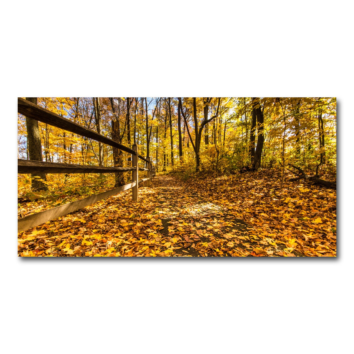 AUTO-MOCKUP WHITE | Caesar Creek State Park Fall Foliage | 1 Piece | Gallery Wrap Canvas | group=2x1