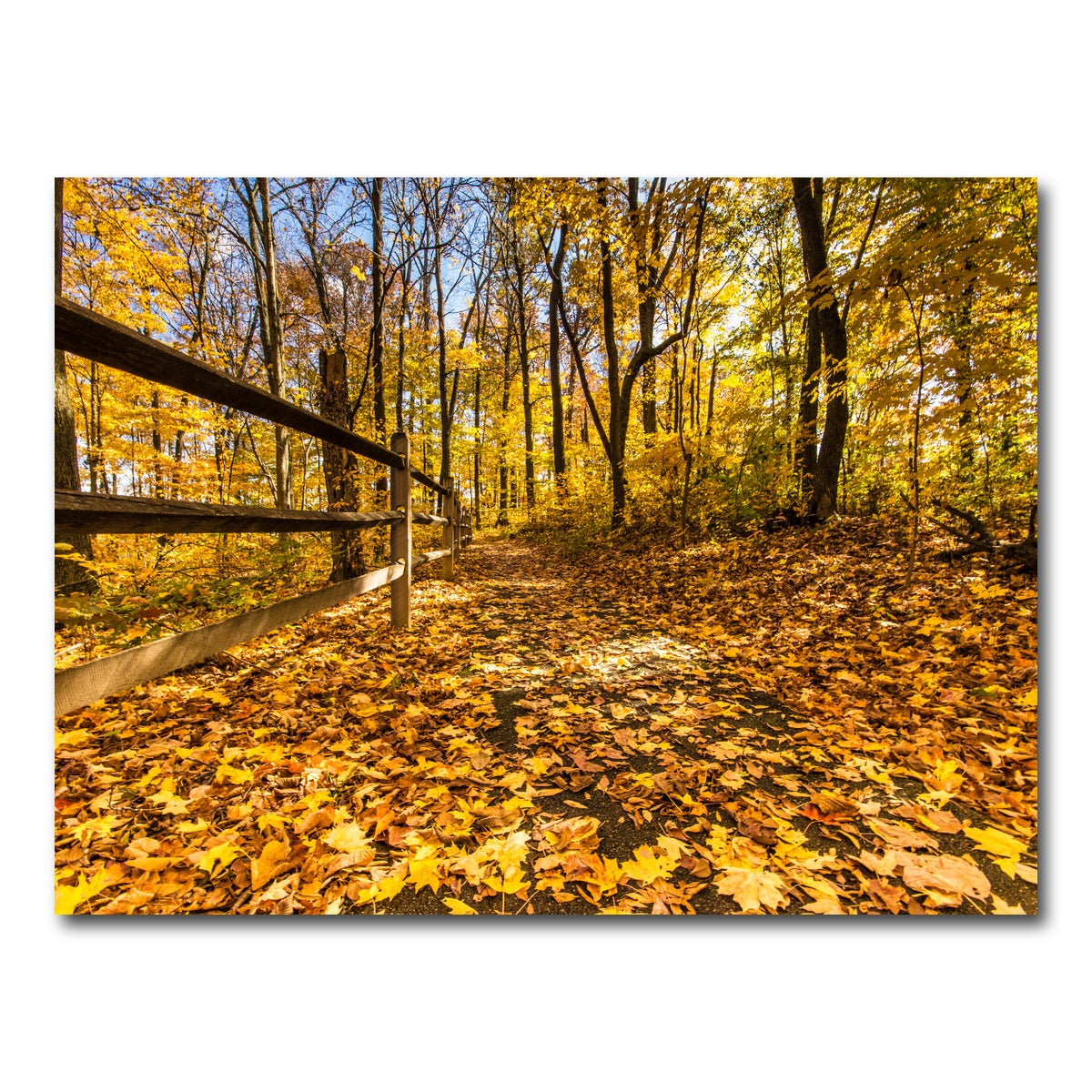 AUTO-MOCKUP WHITE | Caesar Creek State Park Fall Foliage | 1 Piece | Gallery Wrap Canvas | group=4x3