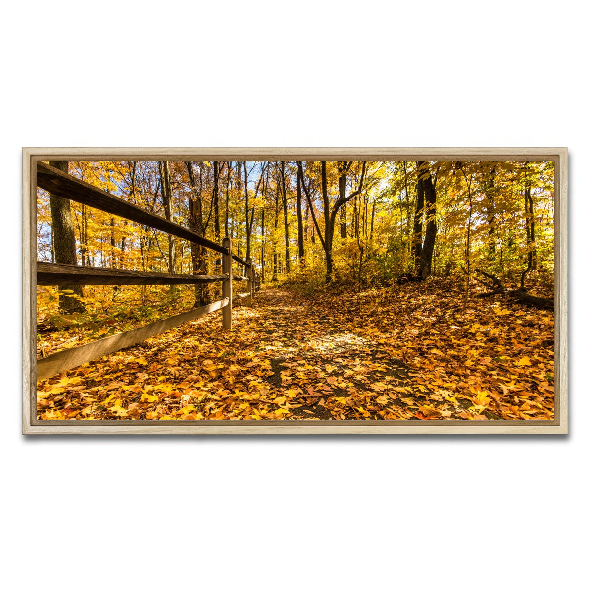 AUTO-MOCKUP WHITE | Caesar Creek State Park Fall Foliage | 1 Piece | Natural Framed Canvas | group=2x1