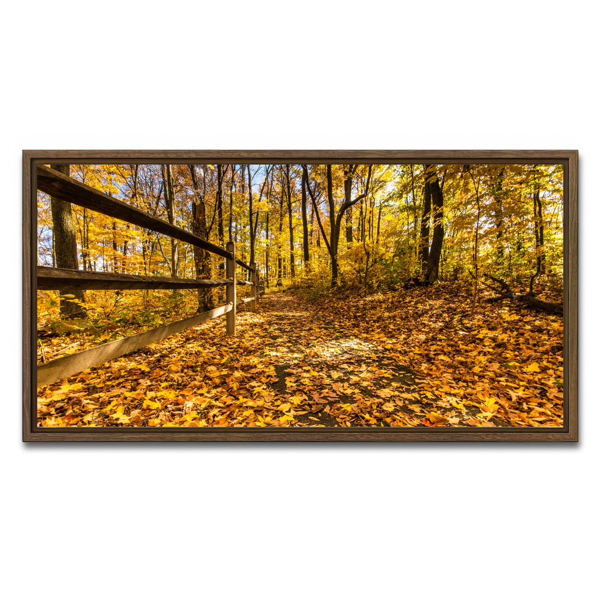 AUTO-MOCKUP WHITE | Caesar Creek State Park Fall Foliage | 1 Piece | Walnut Framed Canvas | group=2x1