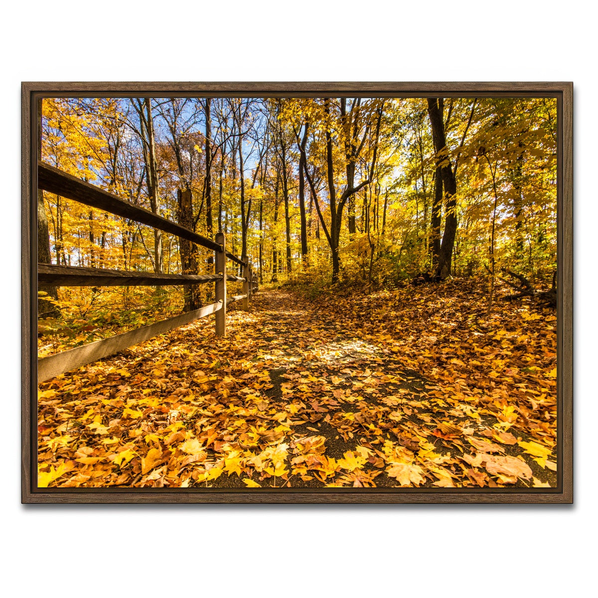 AUTO-MOCKUP WHITE | Caesar Creek State Park Fall Foliage | 1 Piece | Walnut Framed Canvas | group=4x3