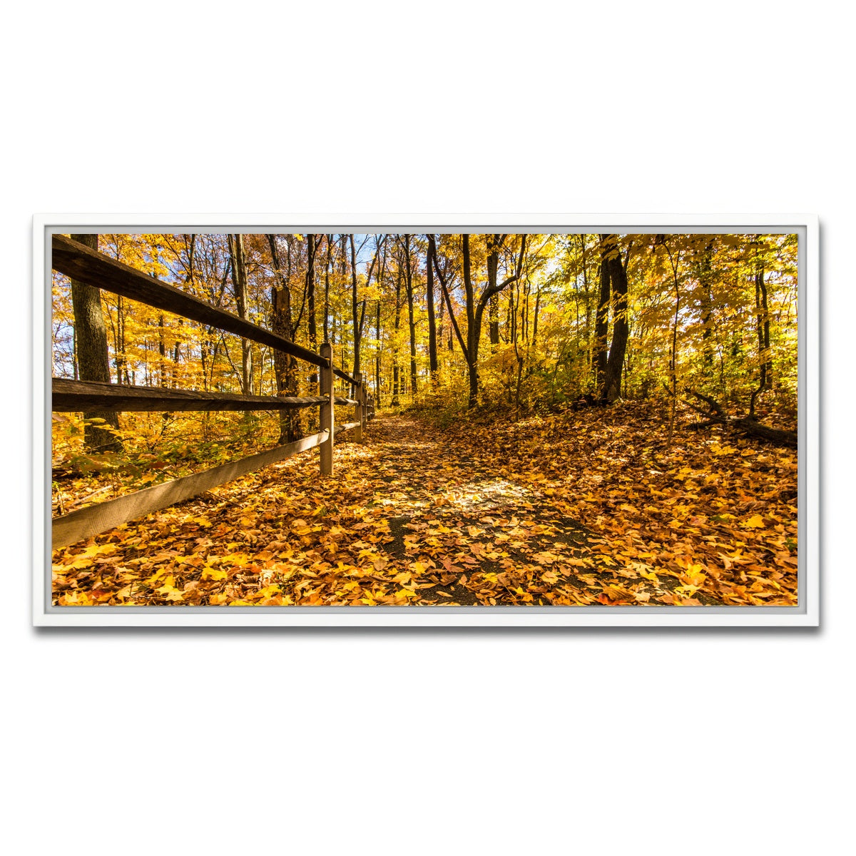 AUTO-MOCKUP WHITE | Caesar Creek State Park Fall Foliage | 1 Piece | White Framed Canvas | group=2x1