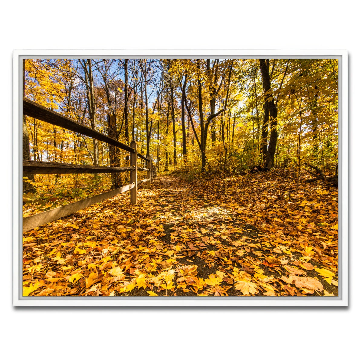 AUTO-MOCKUP WHITE | Caesar Creek State Park Fall Foliage | 1 Piece | White Framed Canvas | group=4x3