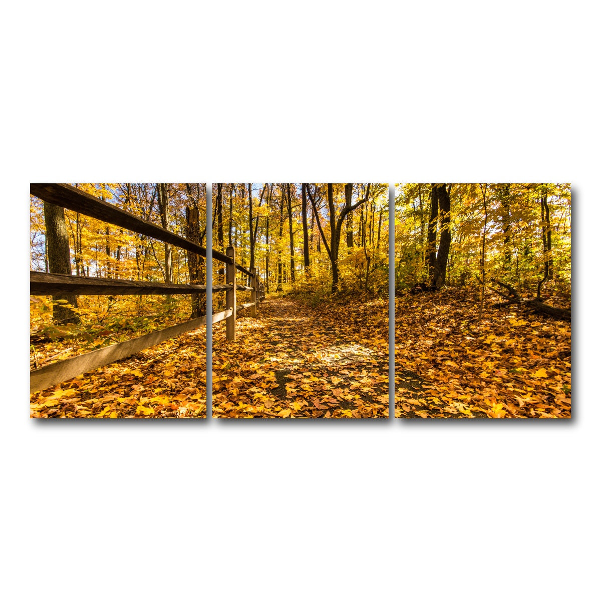 AUTO-MOCKUP WHITE | Caesar Creek State Park Fall Foliage | 3 Piece | Gallery Wrap Canvas | group=18x24
