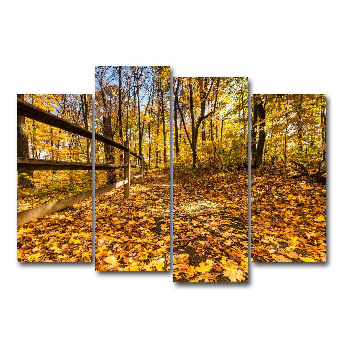 AUTO-MOCKUP WHITE | Caesar Creek State Park Fall Foliage | 4 Piece | Gallery Wrap Canvas | group=4_normal