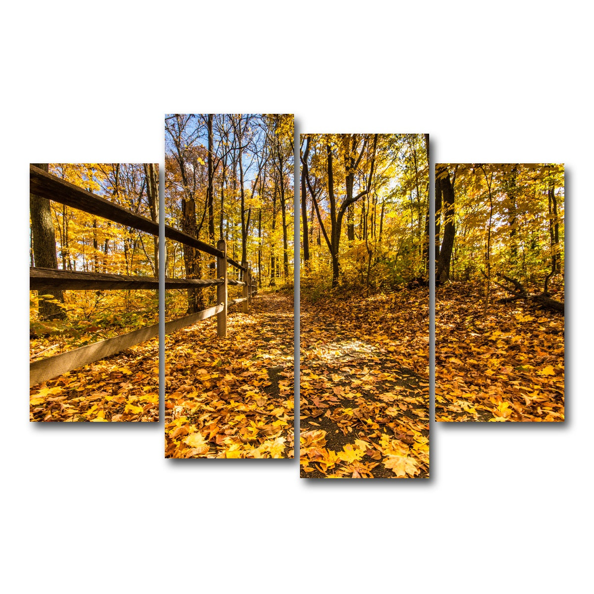 AUTO-MOCKUP WHITE | Caesar Creek State Park Fall Foliage | 4 Piece | Gallery Wrap Canvas | group=4_short
