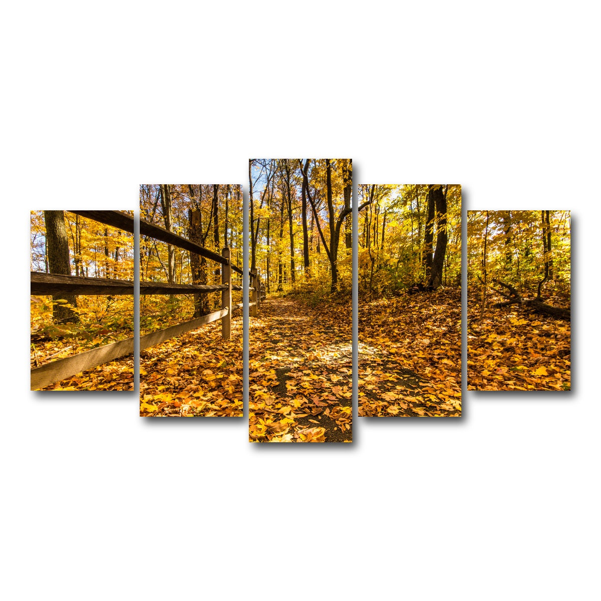 AUTO-MOCKUP WHITE | Caesar Creek State Park Fall Foliage | 5 Piece | Gallery Wrap Canvas | group=5_normal