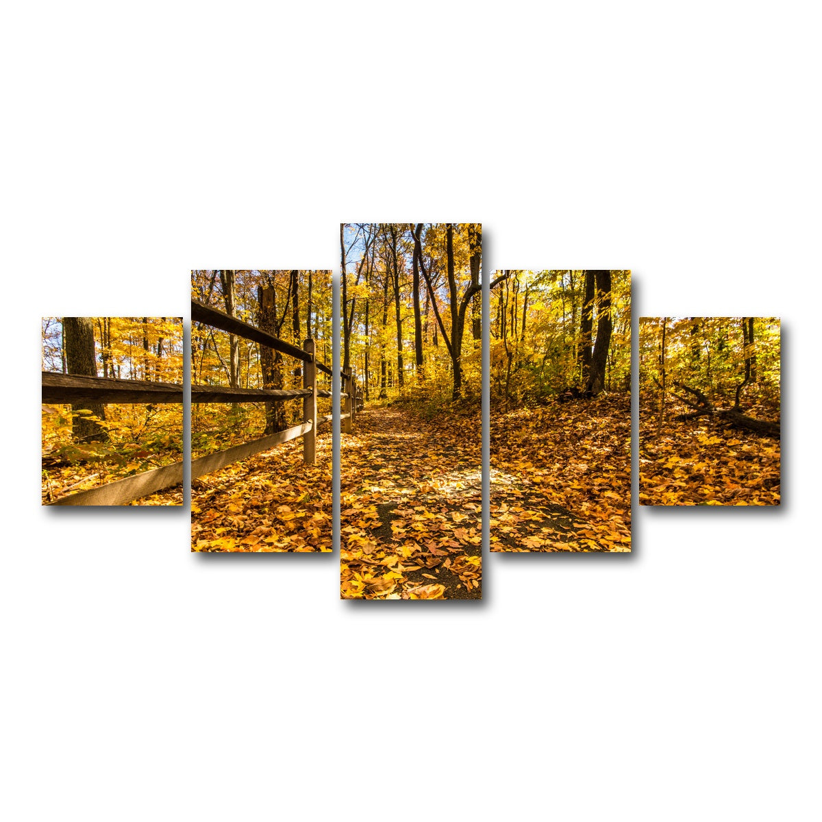 AUTO-MOCKUP WHITE | Caesar Creek State Park Fall Foliage | 5 Piece | Gallery Wrap Canvas | group=5_short