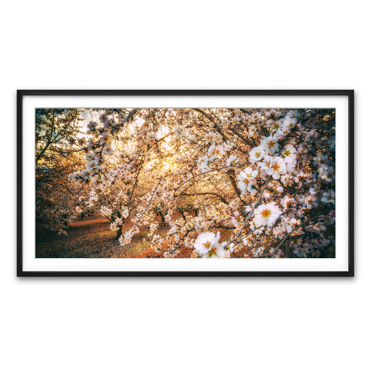 Framed Print 2x1 Black