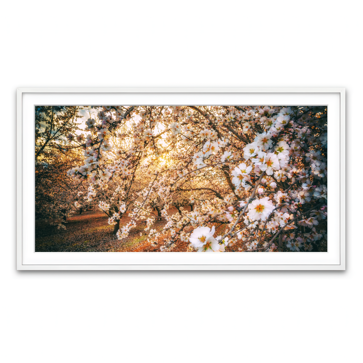 Framed Print 2x1 White