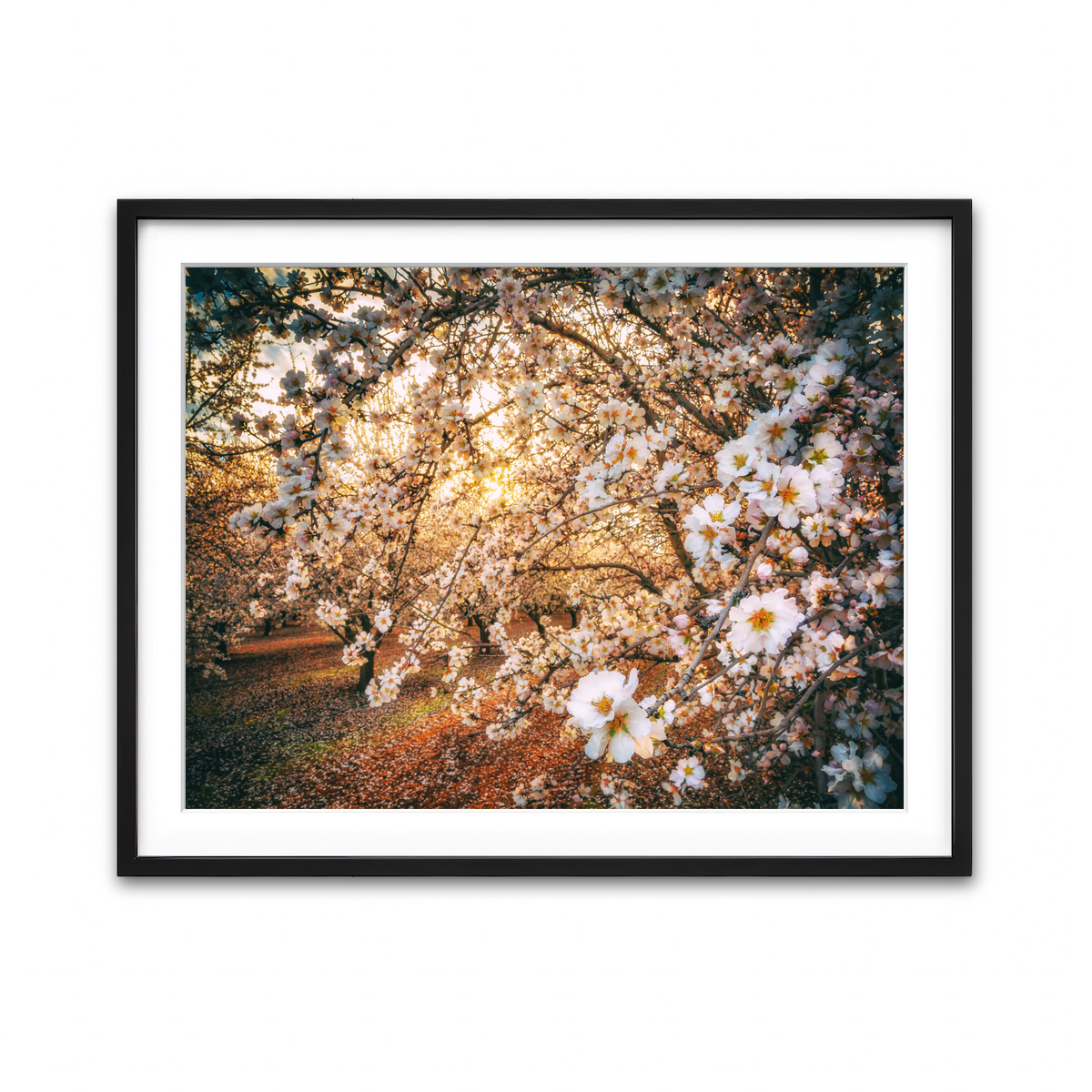 Framed Print 4x3 Black