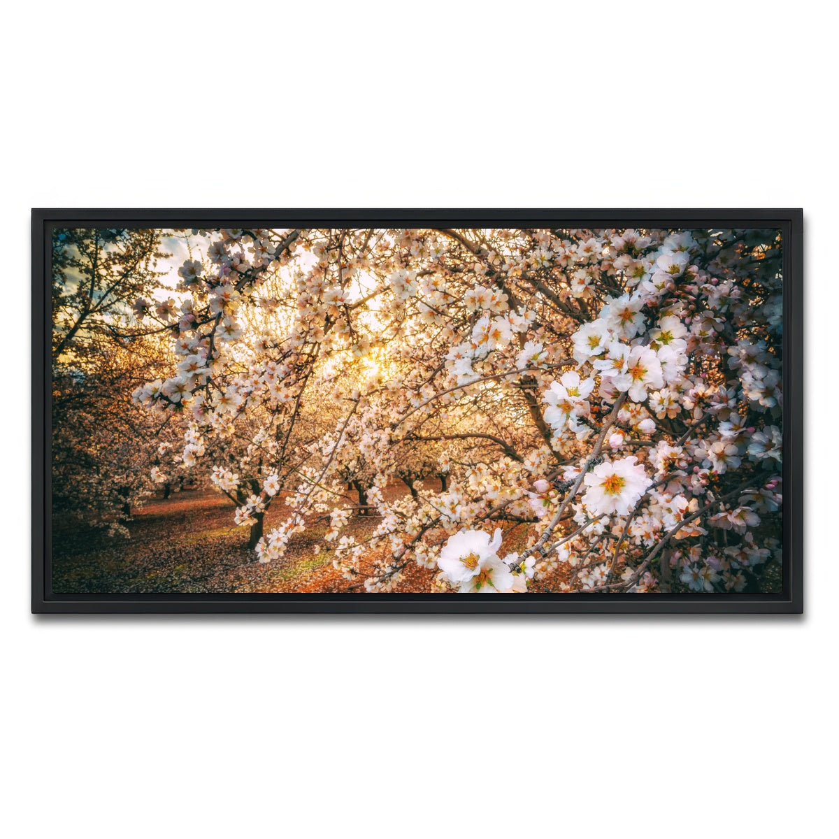 AUTO-MOCKUP WHITE | California Blossom Trail | 1 Piece | Black Framed Canvas | group=2x1