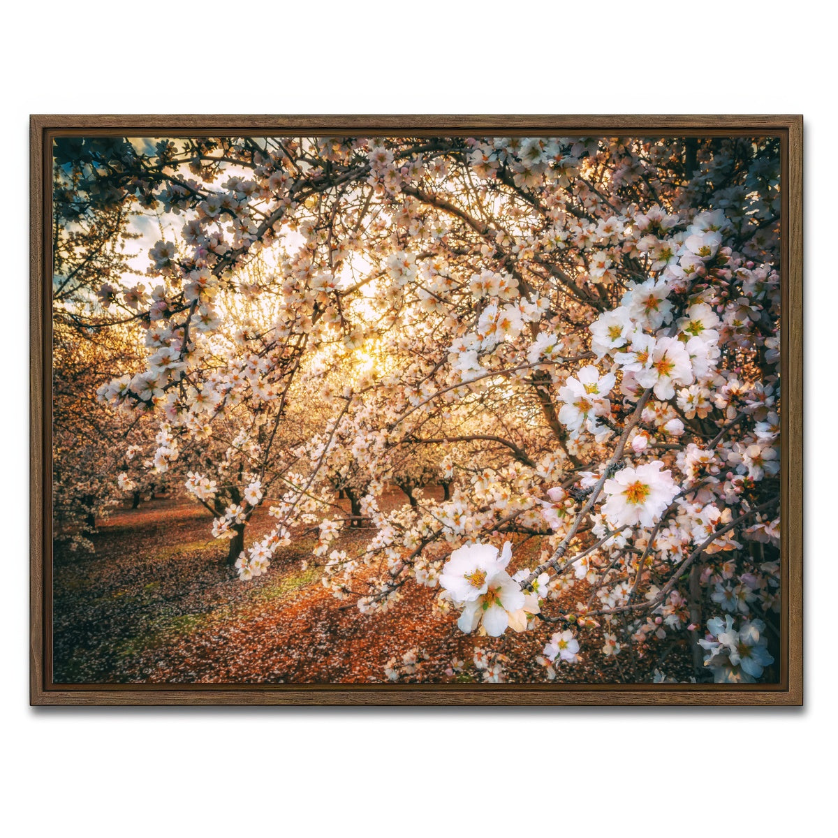AUTO-MOCKUP WHITE | California Blossom Trail | 1 Piece | Walnut Framed Canvas | group=4x3