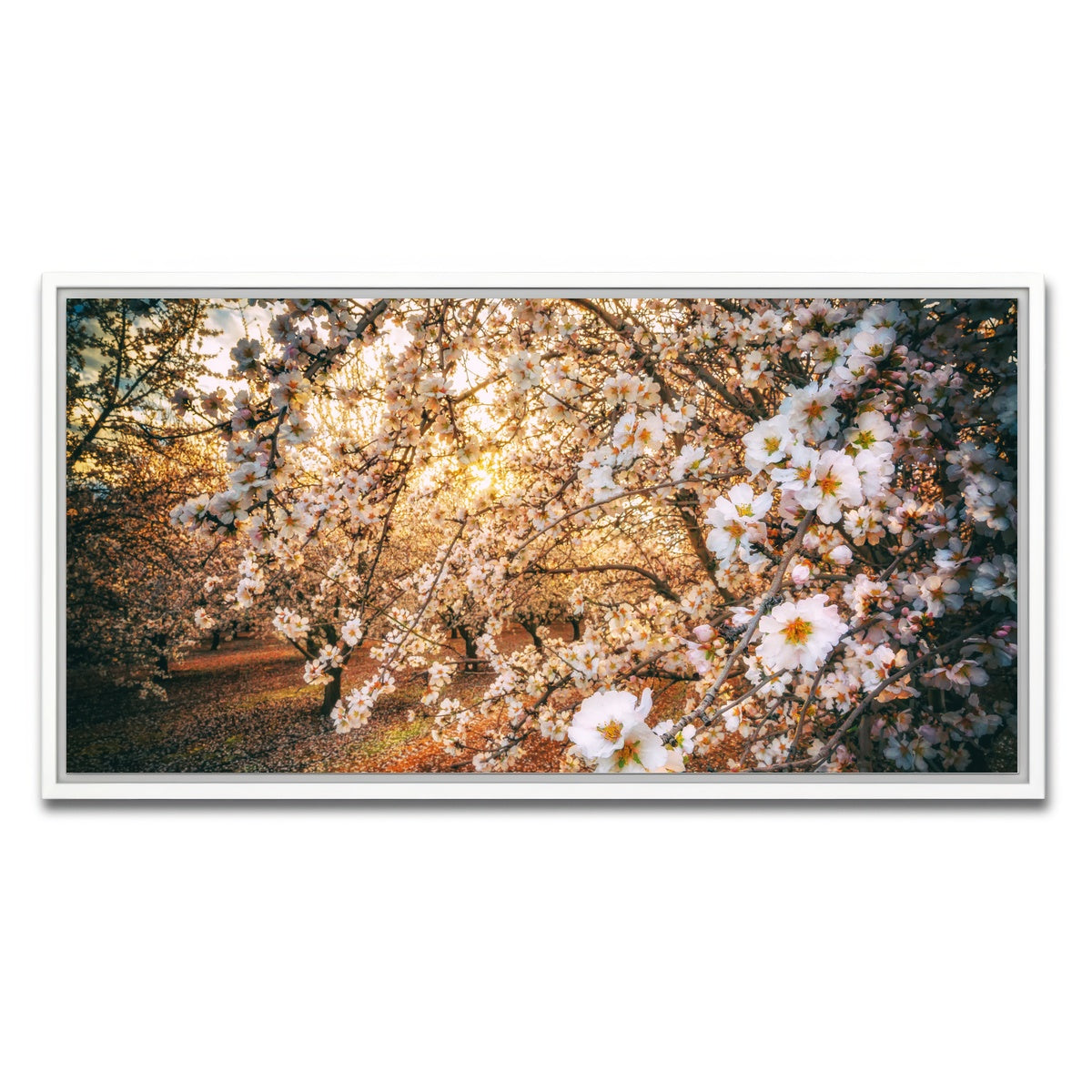 AUTO-MOCKUP WHITE | California Blossom Trail | 1 Piece | White Framed Canvas | group=2x1
