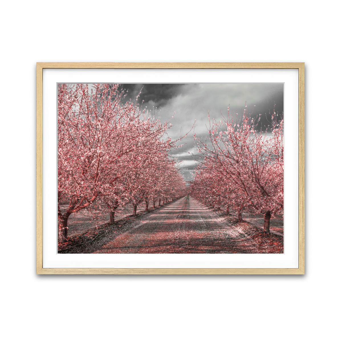 Framed Print 4x3 Natural