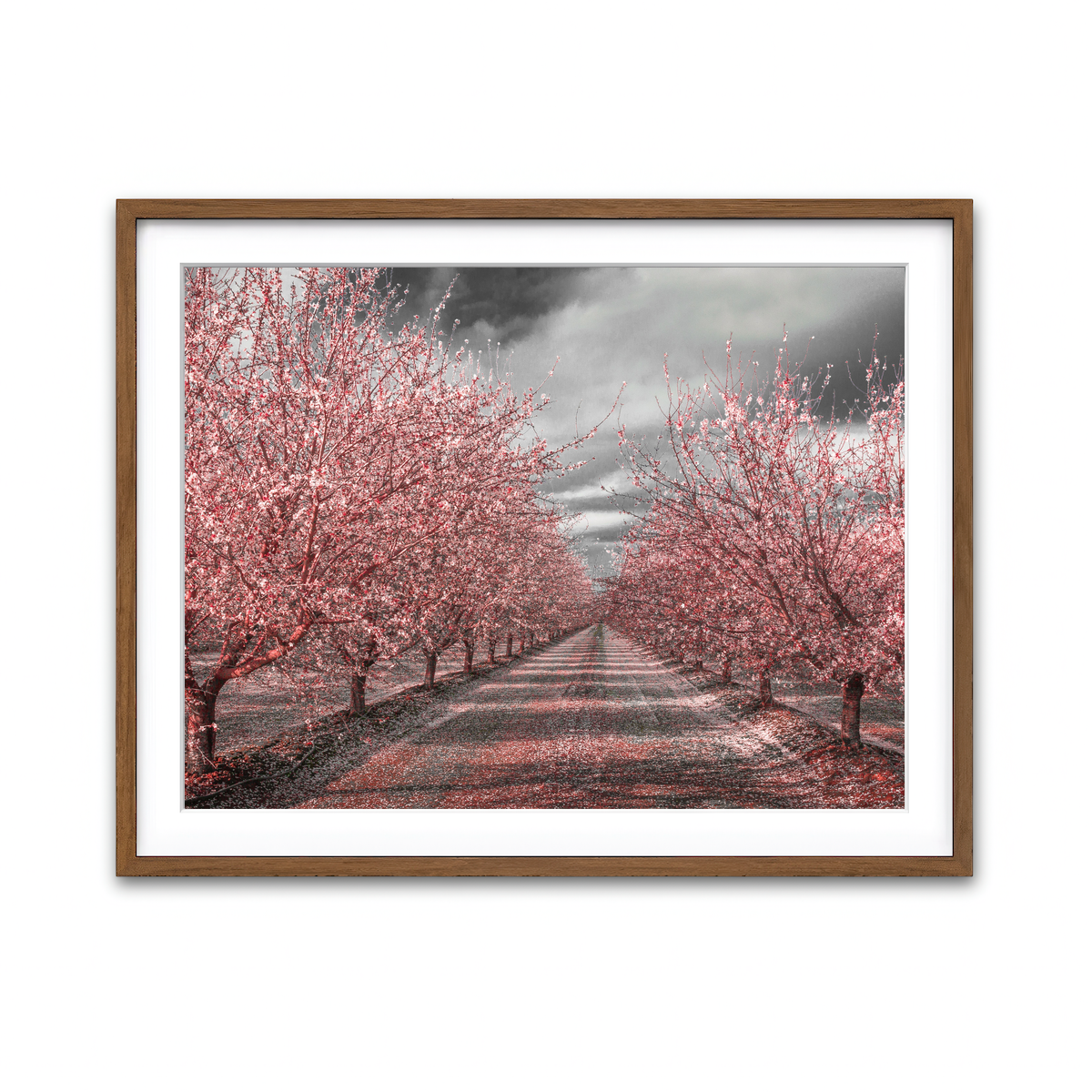 Framed Print 4x3 Walnut