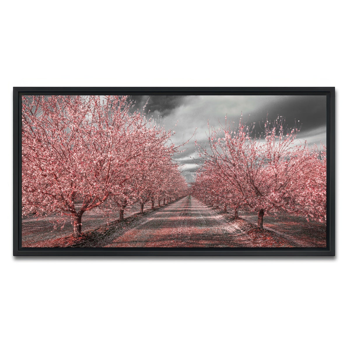 AUTO-MOCKUP WHITE | California Pink Blossoms | 1 Piece | Black Framed Canvas | group=2x1