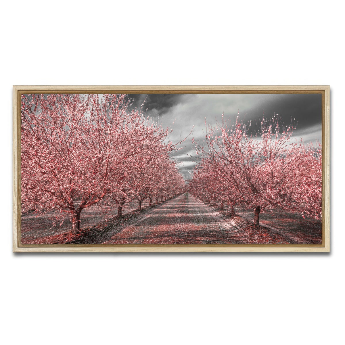 AUTO-MOCKUP WHITE | California Pink Blossoms | 1 Piece | Natural Framed Canvas | group=2x1
