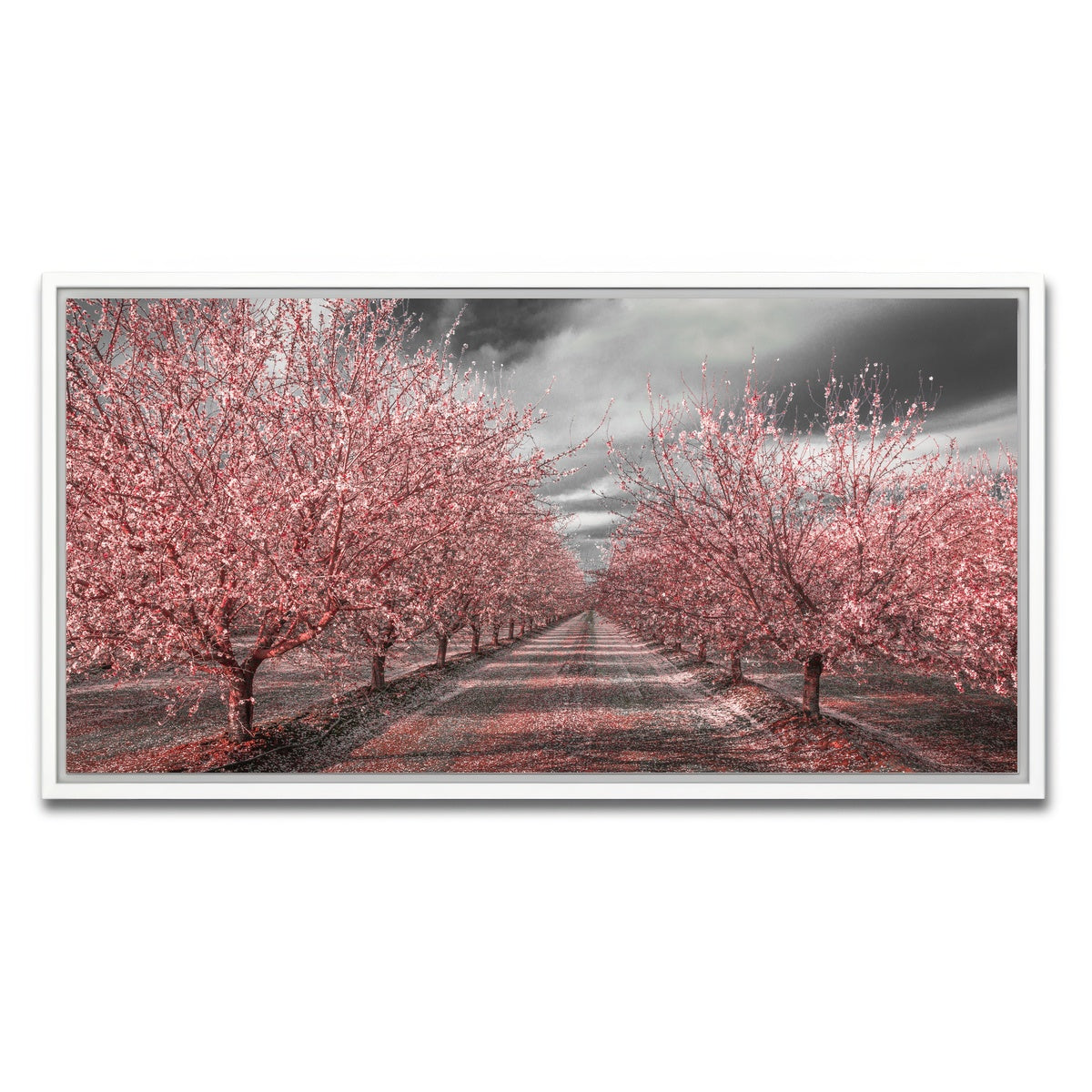 AUTO-MOCKUP WHITE | California Pink Blossoms | 1 Piece | White Framed Canvas | group=2x1