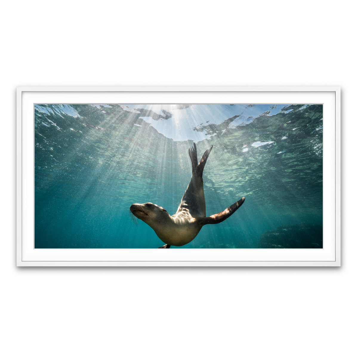 Framed Print 2x1 White