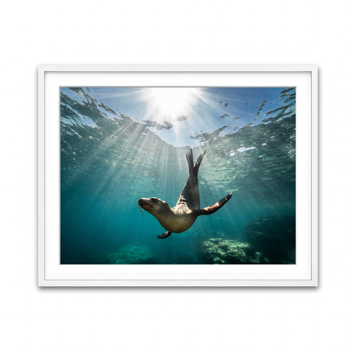 Framed Print 4x3 White