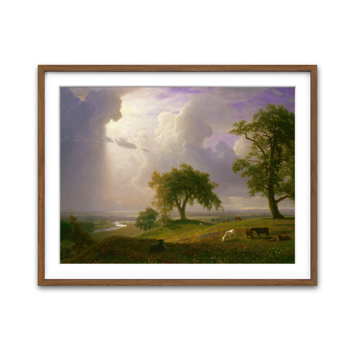 Framed Print 4x3 Walnut