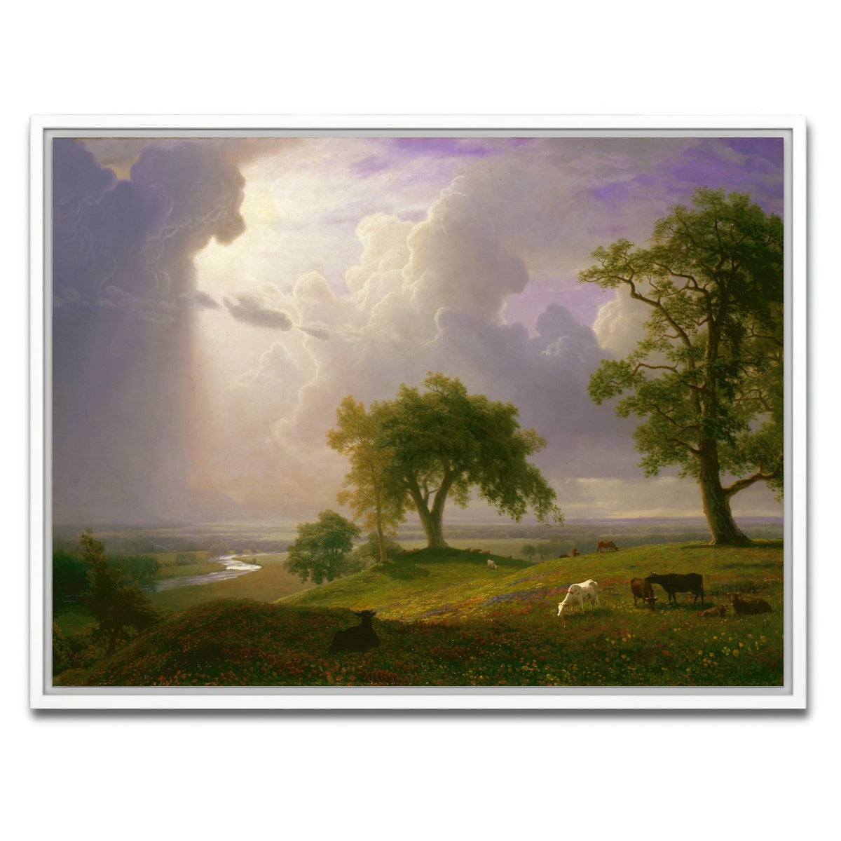 AUTO-MOCKUP WHITE | California Spring | 1 Piece | White Framed Canvas | group=4x3