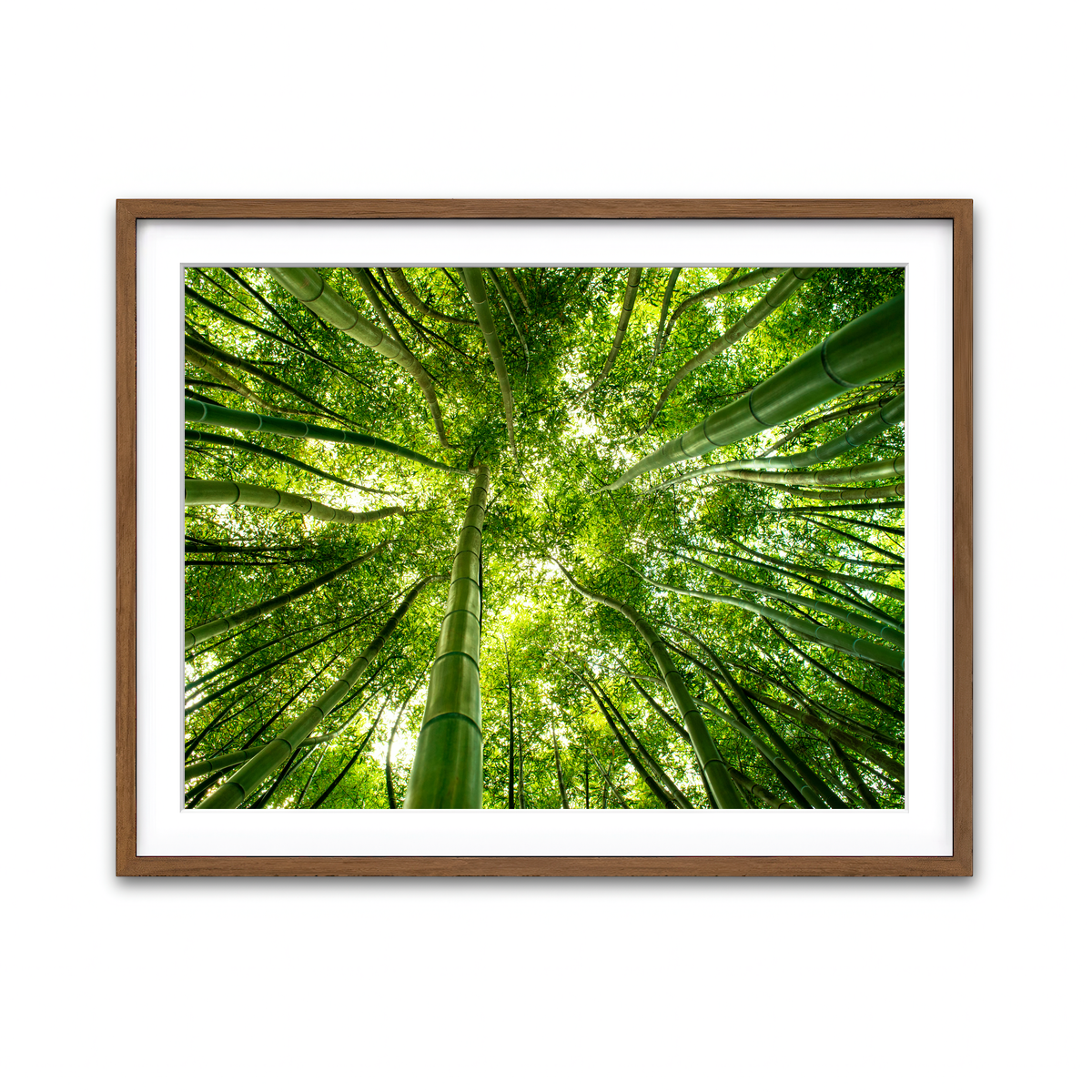 Framed Print 4x3 Walnut
