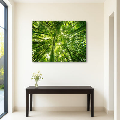 AUTO-MOCKUP ROOM | Canopy in Pisa Italy