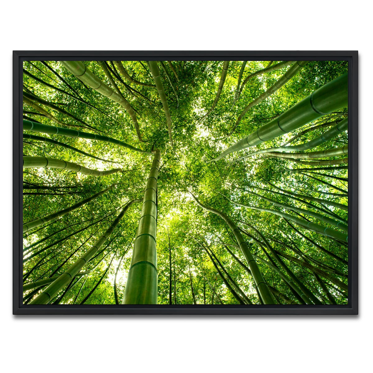 AUTO-MOCKUP WHITE | Canopy in Pisa Italy | 1 Piece | Black Framed Canvas | group=4x3