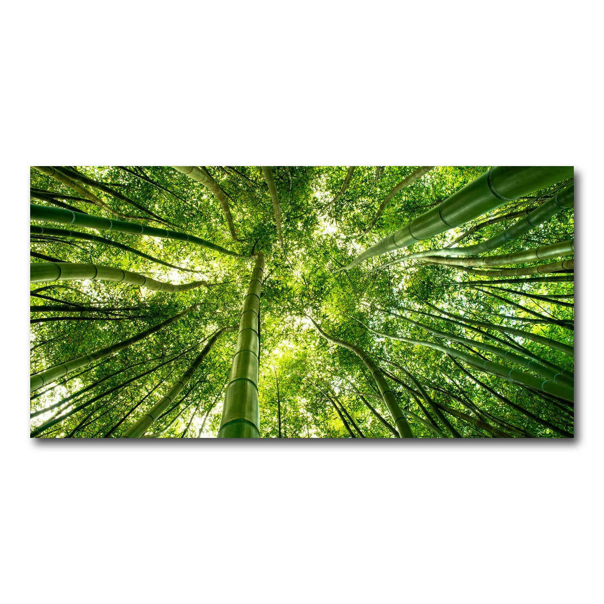 AUTO-MOCKUP WHITE | Canopy in Pisa Italy | 1 Piece | Gallery Wrap Canvas | group=2x1