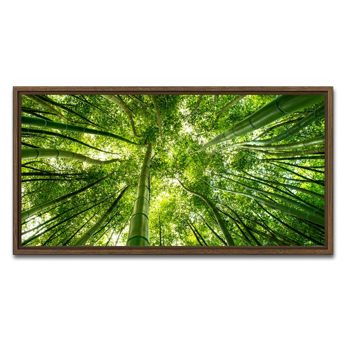 AUTO-MOCKUP WHITE | Canopy in Pisa Italy | 1 Piece | Walnut Framed Canvas | group=2x1