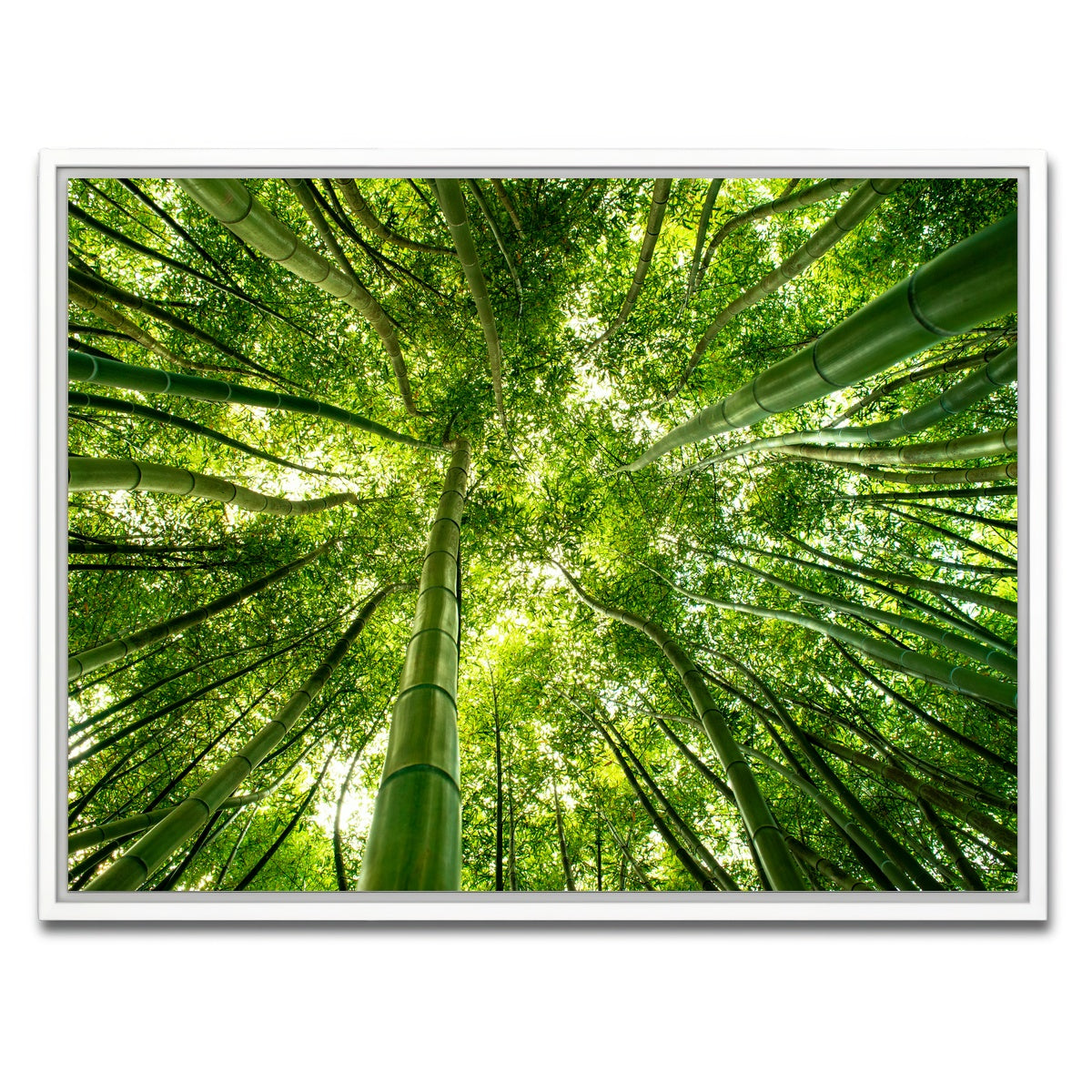 AUTO-MOCKUP WHITE | Canopy in Pisa Italy | 1 Piece | White Framed Canvas | group=4x3