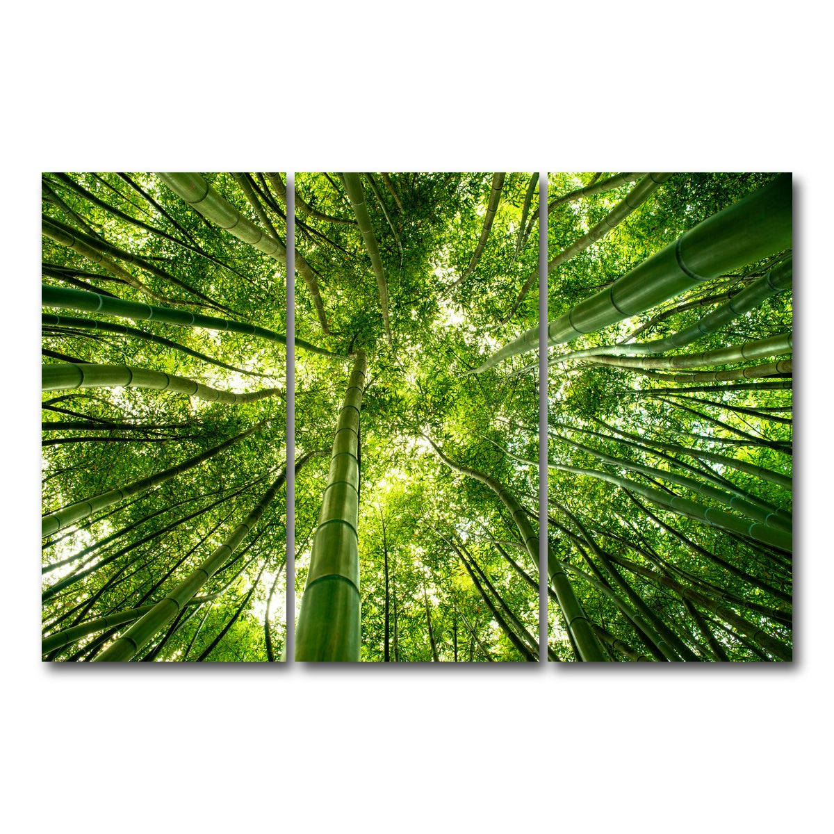 AUTO-MOCKUP WHITE | Canopy in Pisa Italy | 3 Piece | Gallery Wrap Canvas | group=12x24