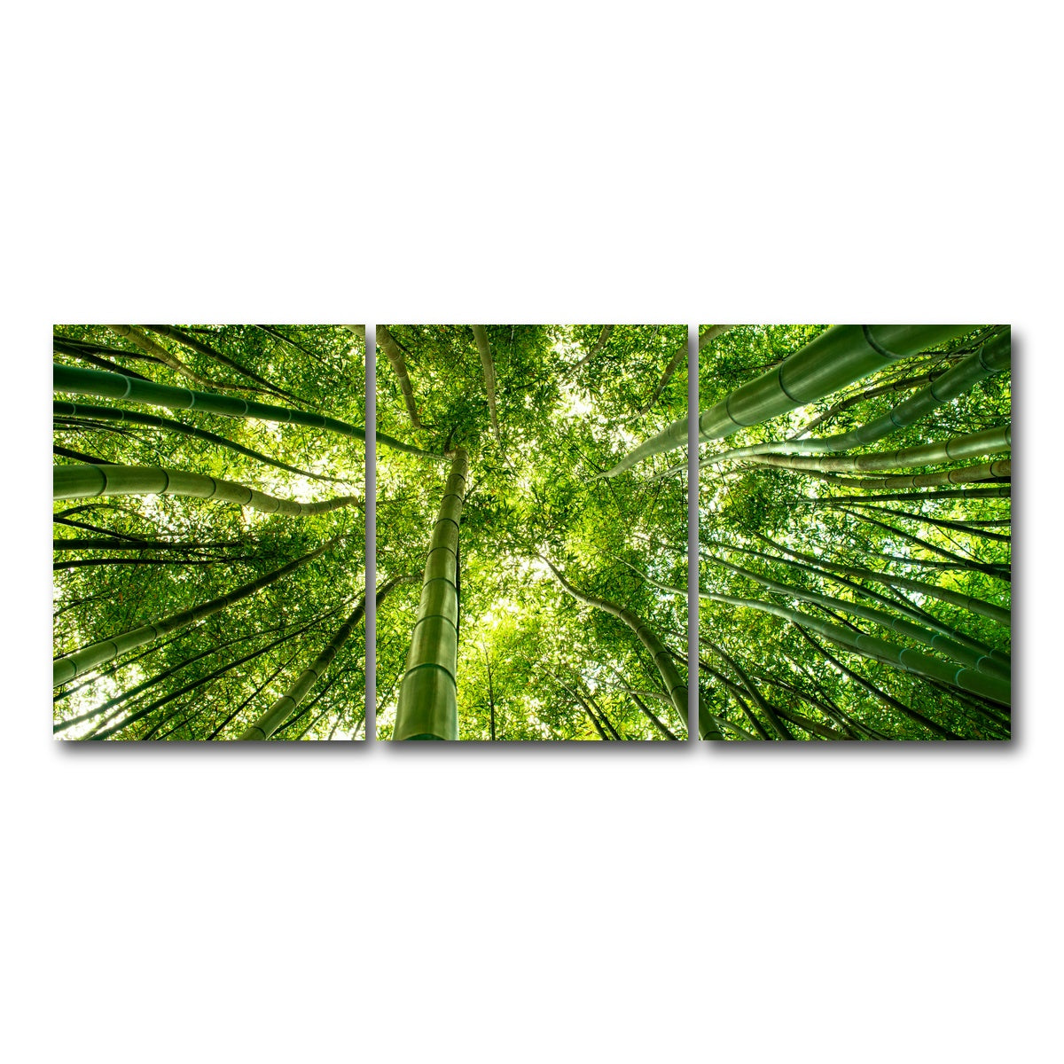 AUTO-MOCKUP WHITE | Canopy in Pisa Italy | 3 Piece | Gallery Wrap Canvas | group=18x24