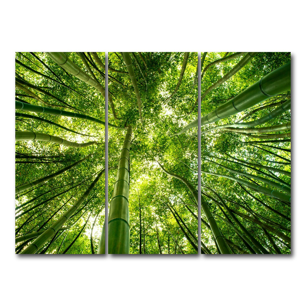 AUTO-MOCKUP WHITE | Canopy in Pisa Italy | 3 Piece | Gallery Wrap Canvas | group=8x18