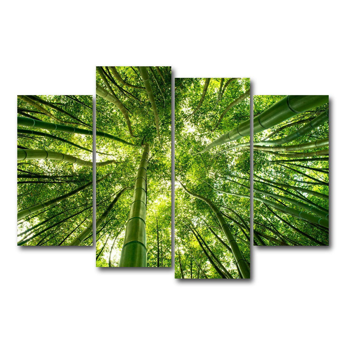 AUTO-MOCKUP WHITE | Canopy in Pisa Italy | 4 Piece | Gallery Wrap Canvas | group=4_short