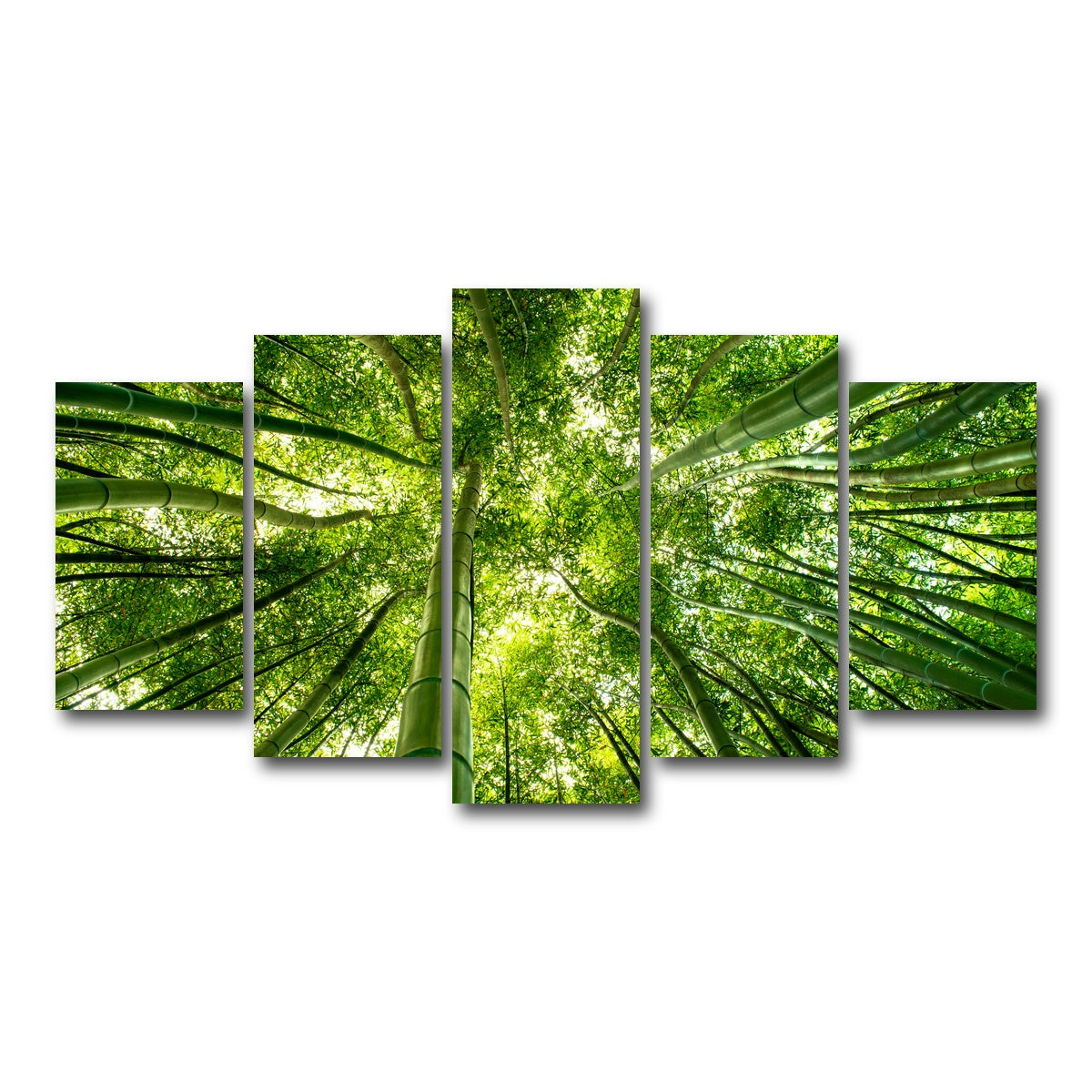 AUTO-MOCKUP WHITE | Canopy in Pisa Italy | 5 Piece | Gallery Wrap Canvas | group=5_normal