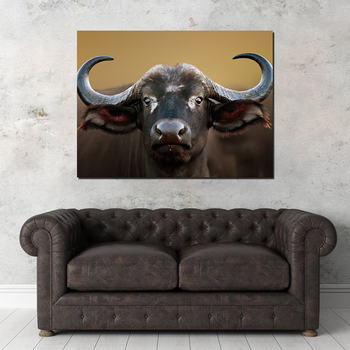 Cape Buffalo - Kruger National Park Wall Art